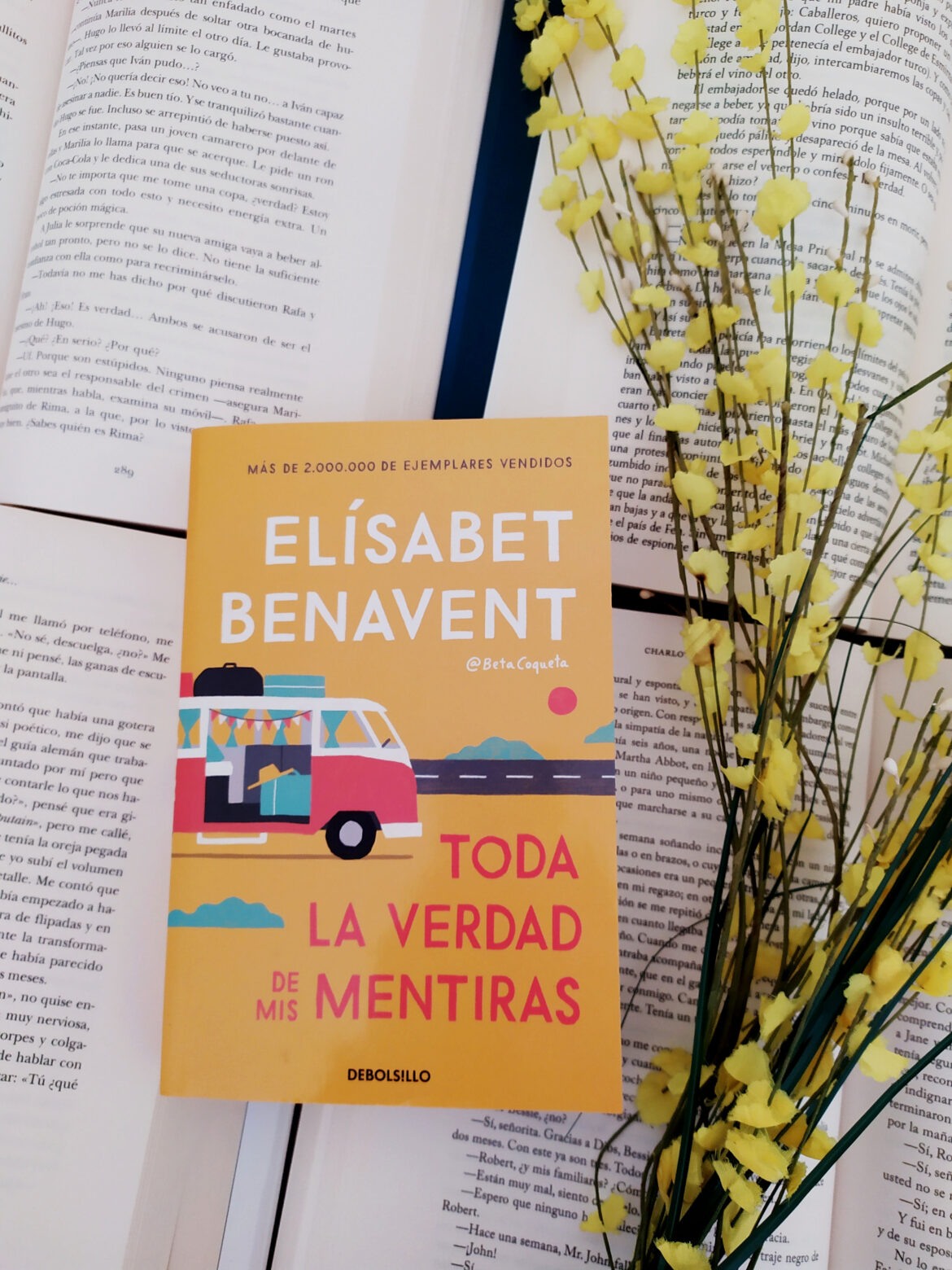TODA LA VERDAD DE MIS MENTIRAS