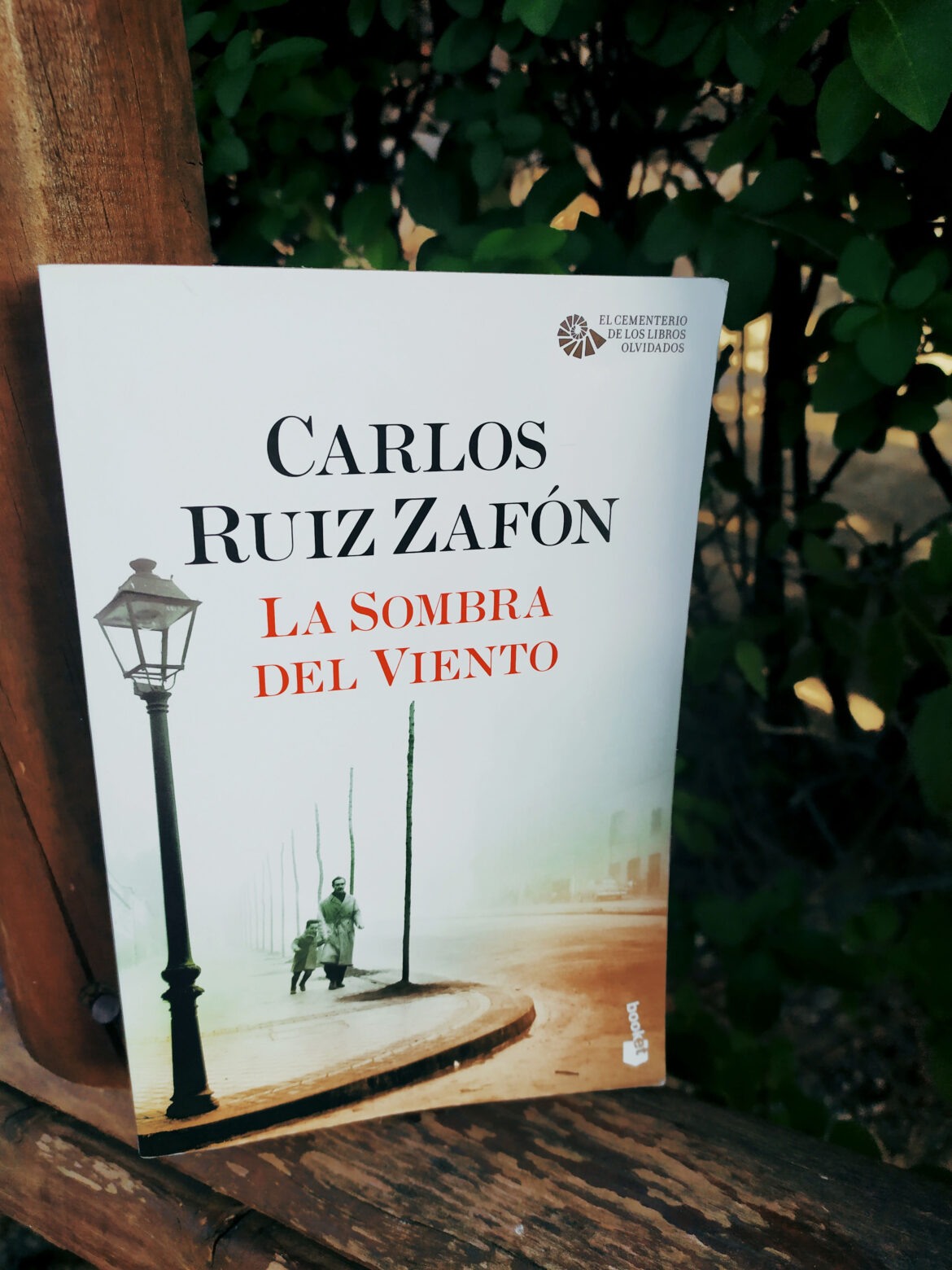 LA SOMBRA DEL VIENTO