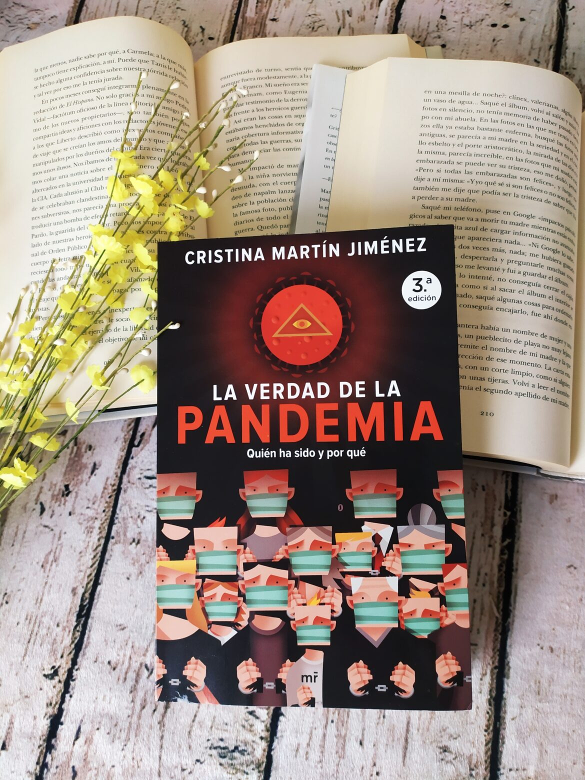 LA VERDAD DE LA PANDEMIA